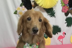 ７月のお友達☆
