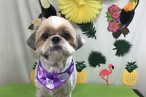 7月のお友達☆