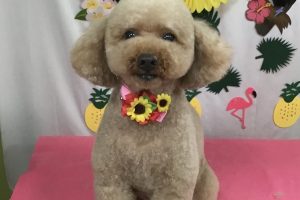 ７月のお友達☆