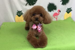 ７月のお友達☆