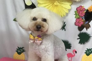 ７月のお友達☆