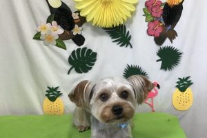 ７月のお友達☆