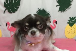 7月のお友達☆
