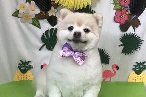 7月のお友達☆