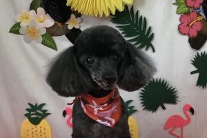 7月のお友達☆