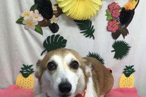 7月のお友達☆