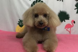 7月のお友達☆