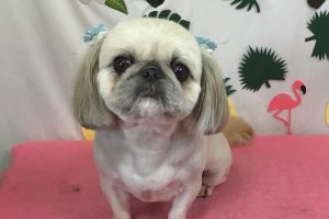 ７月のお友達☆