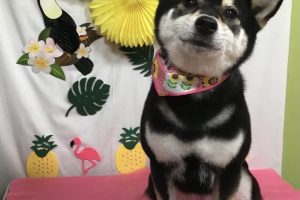 ７月のお友達☆