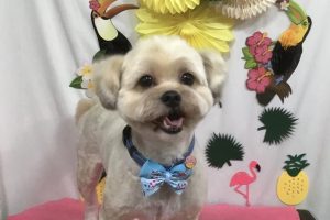 ７月のお友達☆