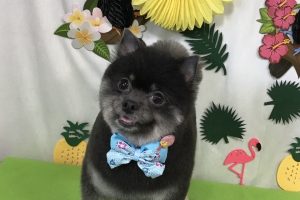 7月のお友達☆