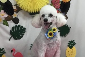 ７月のお友達☆