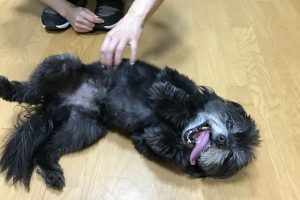 お泊まり中☆