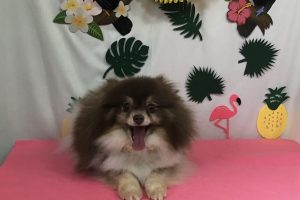 ７月のお友達☆