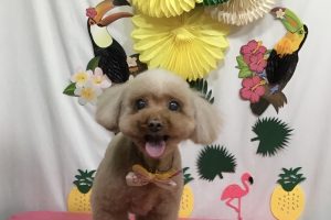 ７月のお友達☆