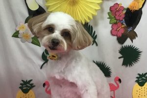 7月のお友達☆
