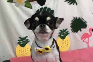 7月のお友達☆