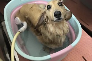 ７月のお友達☆