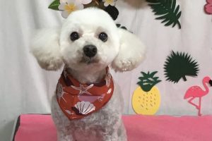 ７月のお友達☆