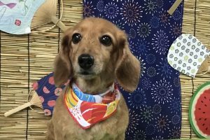 ８月のお友達☆