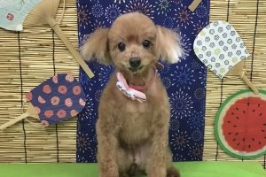 8月のお友達☆