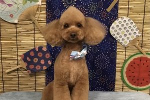 ８月のお友達☆