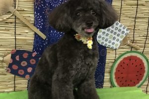 8月のお友達☆