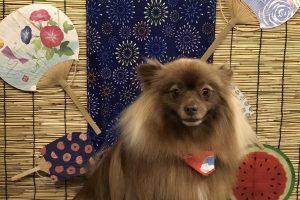 ８月のお友達☆