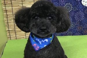 8月のお友達☆