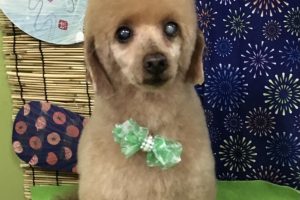 8月のお友達☆