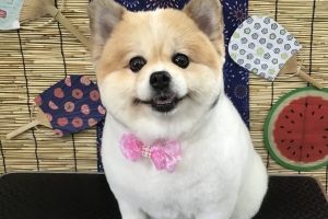 ８月のお友達☆
