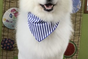 8月のお友達☆
