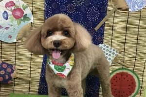 ８月のお友達☆