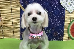 8月のお友達☆