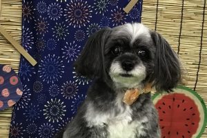 8月のお友達☆