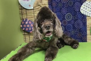 ８月のお友達☆