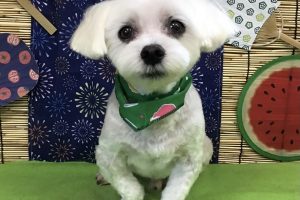 8月のお友達☆