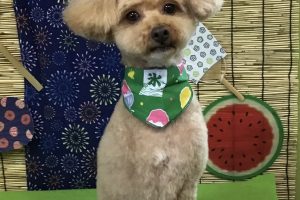 8月のお友達☆