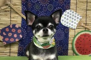 ８月のお友達☆