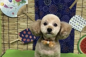 ８月のお友達☆