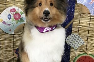 8月のお友達☆