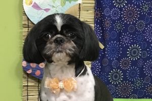 8月のお友達☆