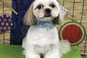8月のお友達☆
