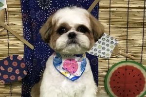 ８月のお友達☆