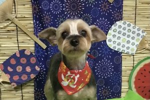 8月のお友達☆