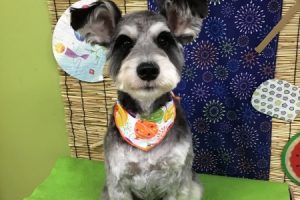 ８月のお友達☆