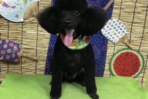 ８月のお友達☆