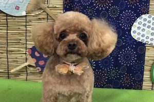 8月のお友達☆