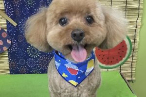 8月のお友達☆