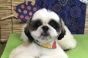 ８月のお友達☆